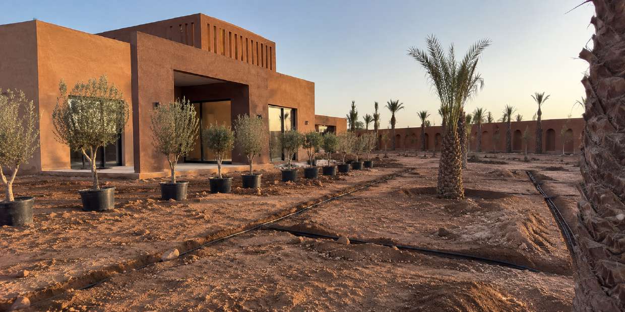 Jardin en cours de plantation, oliviers en pots